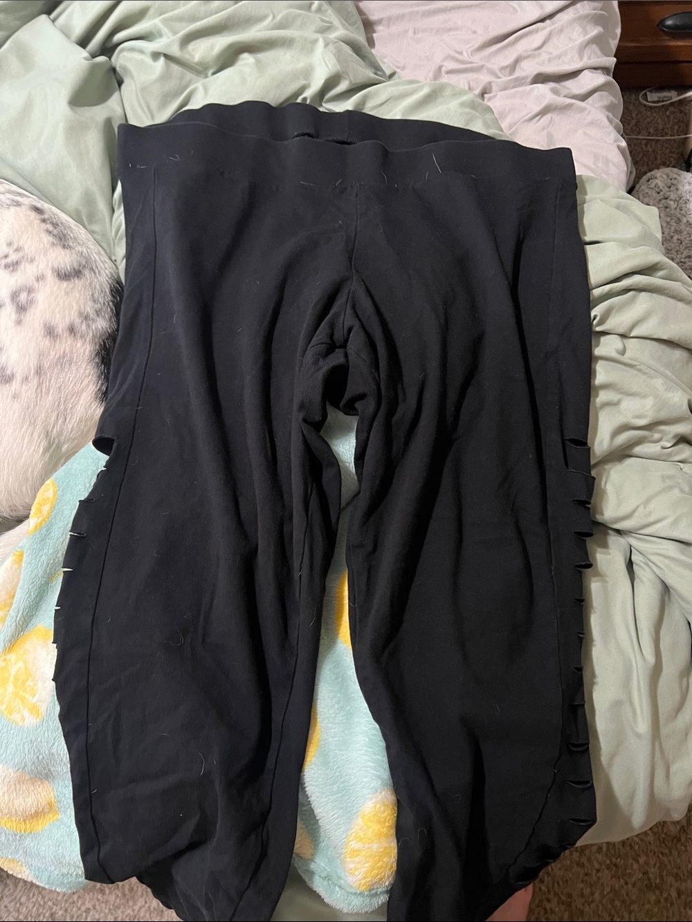 torrid Black Stretch Leggings